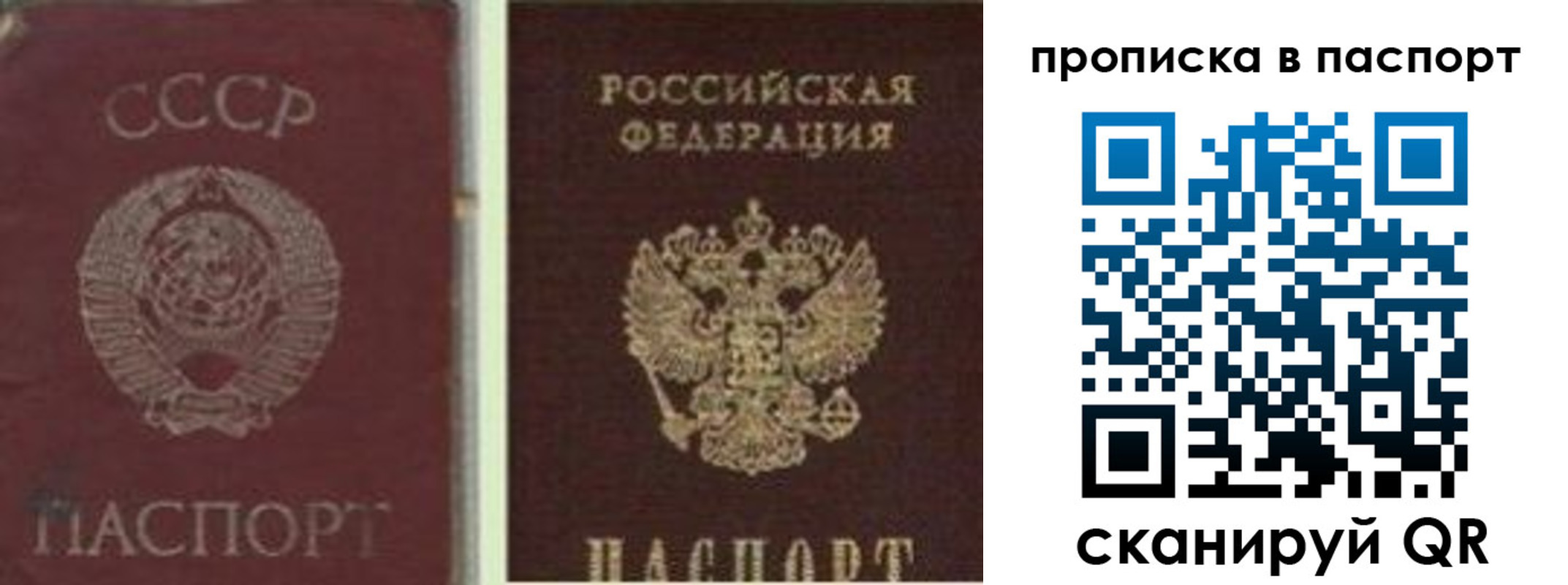 временная регистрация недорого в Петропавловске-Камчатском